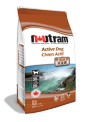 Active Dog
