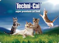 Techni-Cal Food Placemat