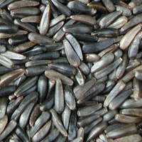 Manor Farm Niger Seed - 20kg pack