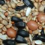 Manor Farm Superior Wild Bird Mix - 20kg pack