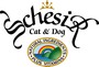 Schesir Introductory Offer - Buy 8 tins and get 2 extra tins free