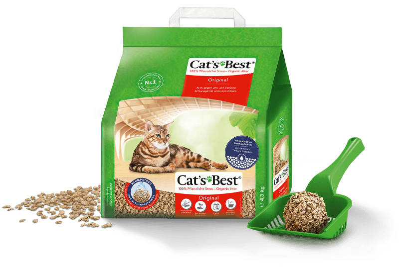 Cat litter clearance buy online